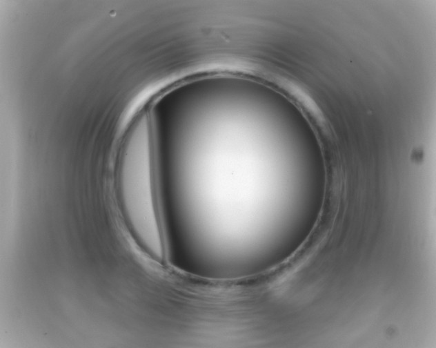 X0000092040936200709121002
