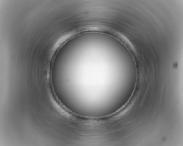 X0000092040938200709121002