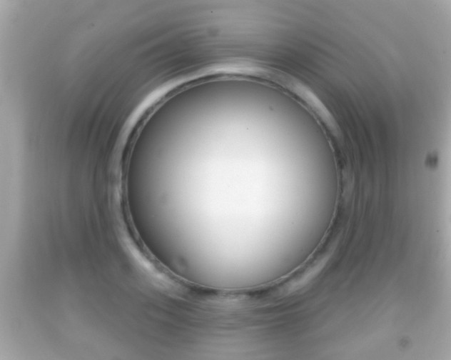 X0000092040939200709121002