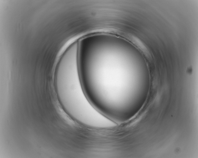X0000092040940200709121002