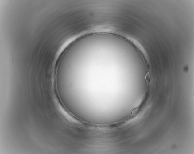 X0000092040941200709121002
