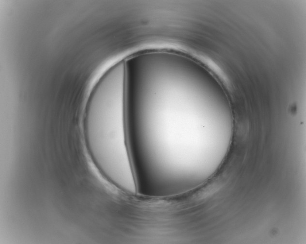 X0000092040943200709121002