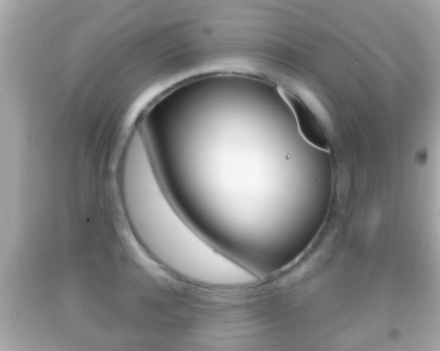 X0000092040944200709121002