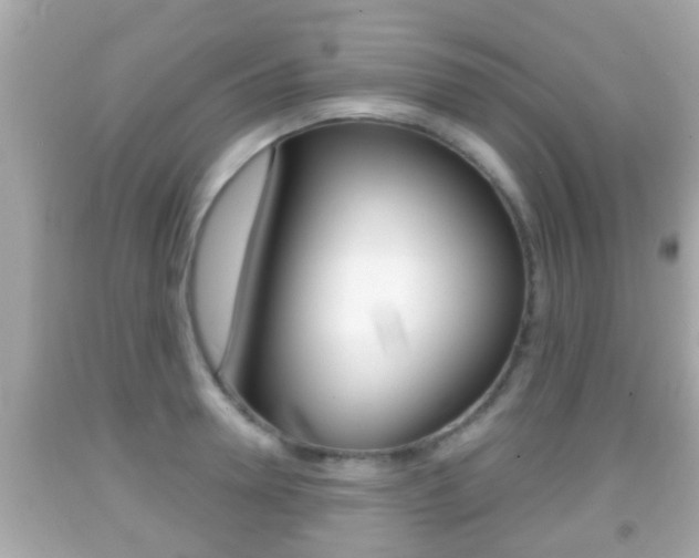 X0000092040946200709121002