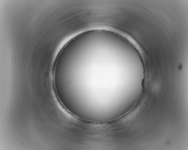 X0000092040951200709121002