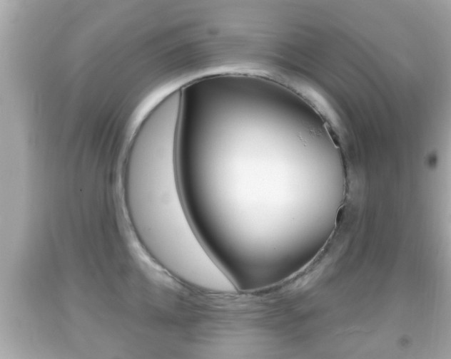 X0000092040952200709121002