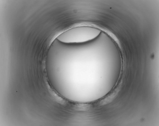 X0000092040953200709121003