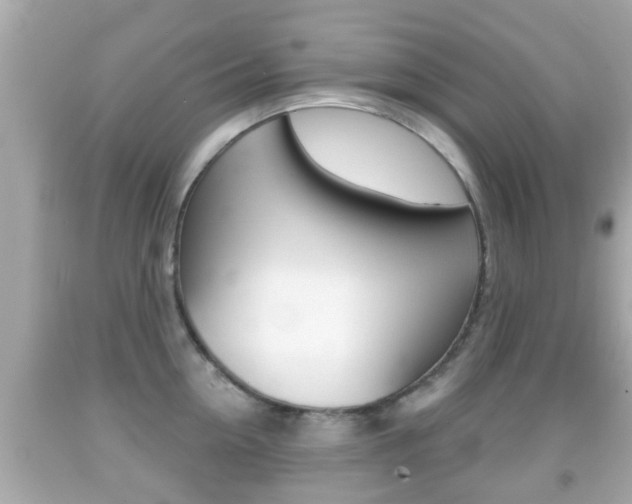 X0000092040954200709121003