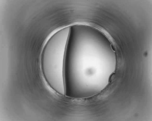 X0000092040955200709121003