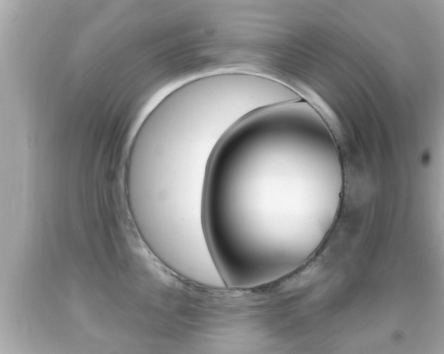 X0000092040956200709121003