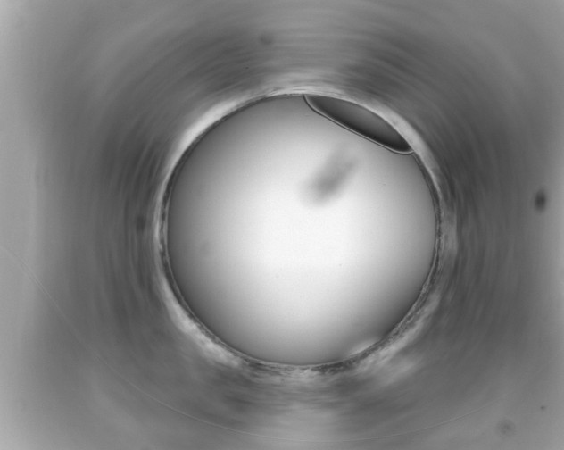 X0000092040957200709121003