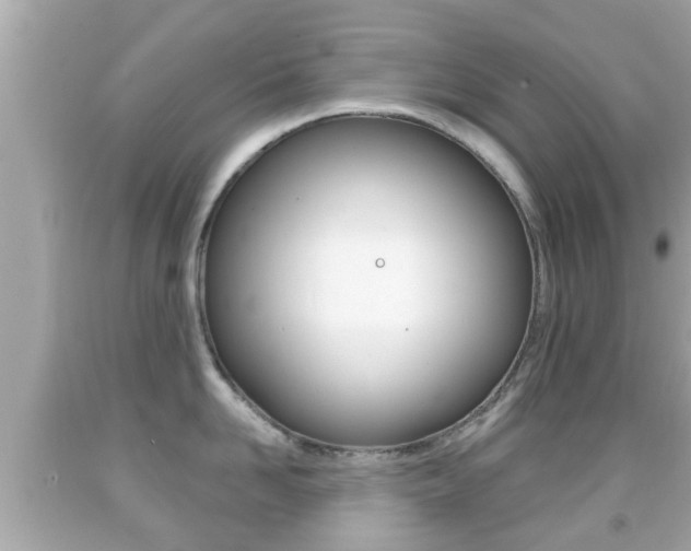 X0000092040958200709121003