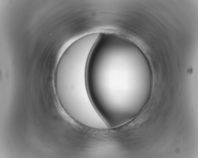 X0000092040960200709121003