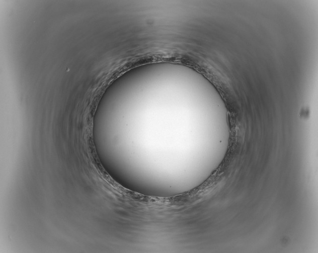 X0000092040961200709121002