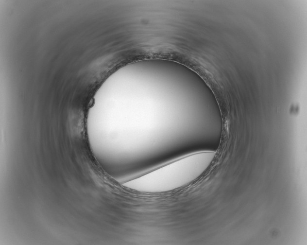 X0000092040963200709121002
