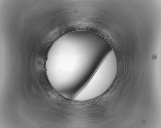 X0000092040964200709121002