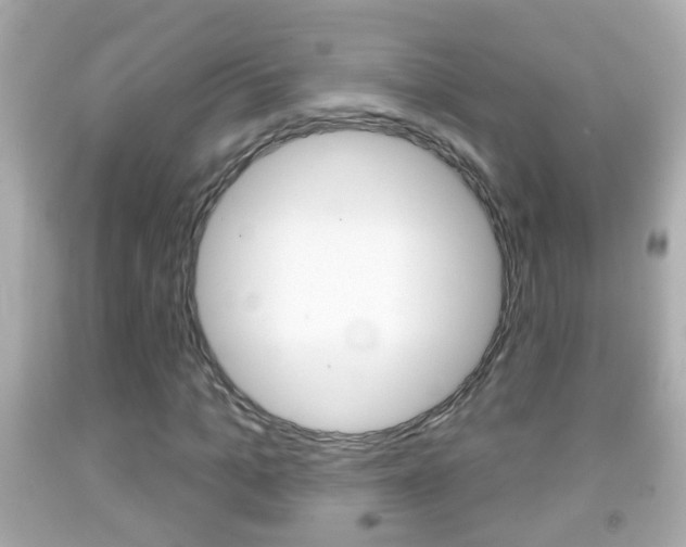 X0000092040965200709121002