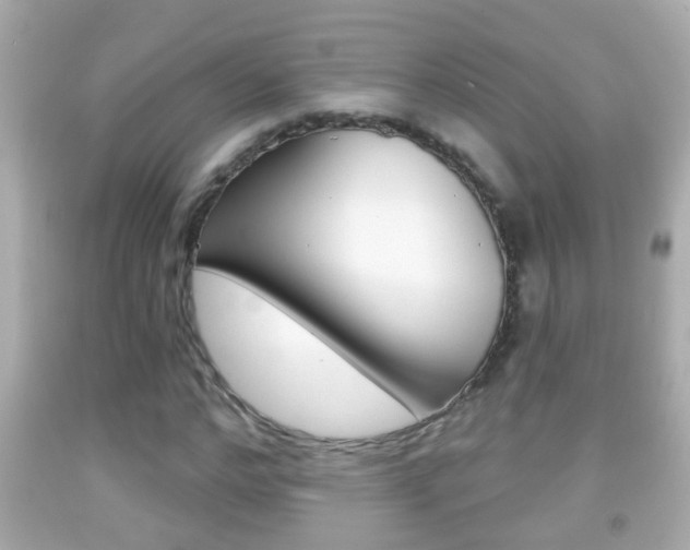 X0000092040968200709121002