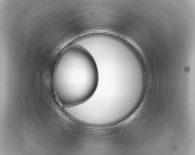 X0000092040969200709121002