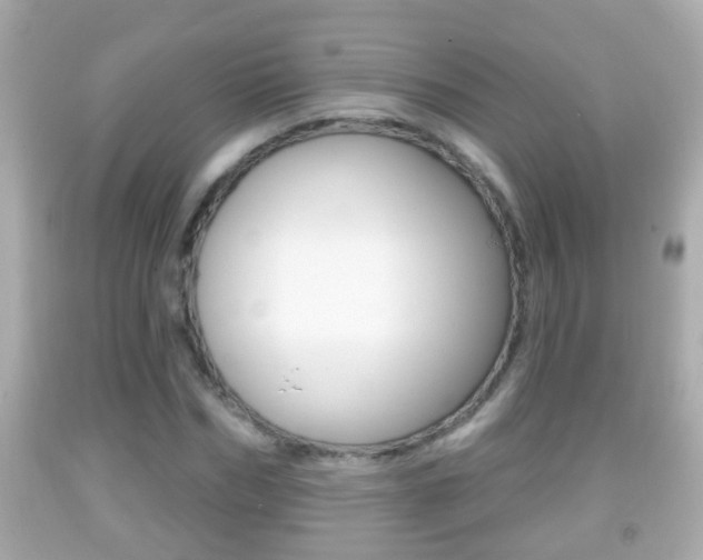 X0000092040970200709121002