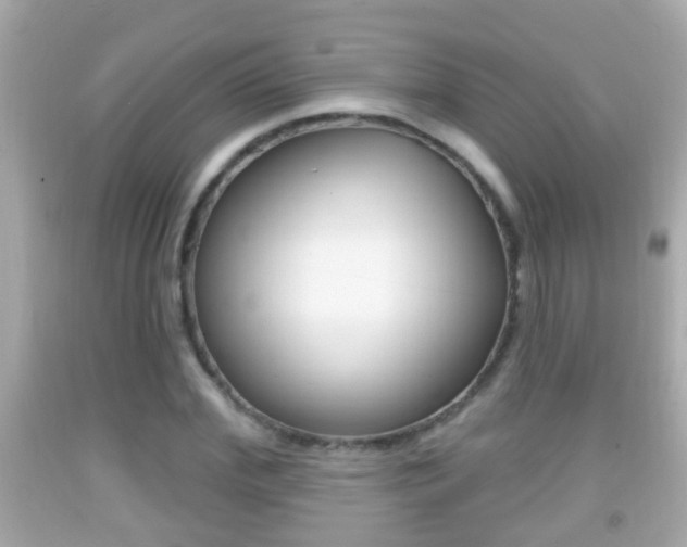 X0000092040972200709121002