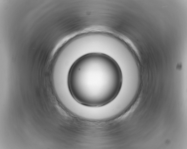 X0000092040973200709121002