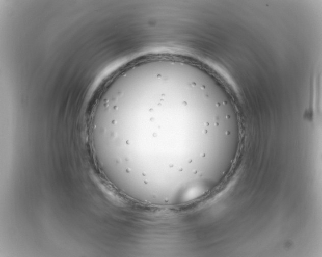 X0000092040974200709121002