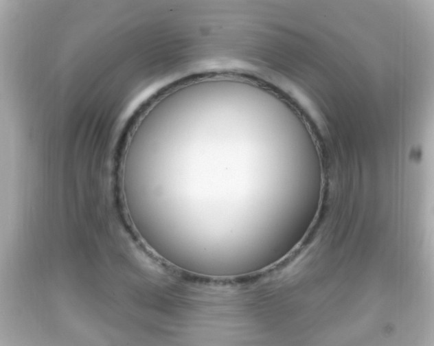 X0000092040975200709121002