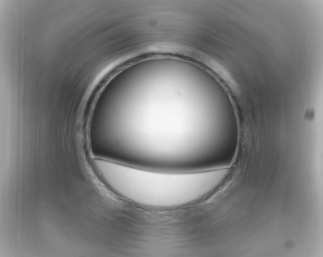 X0000092040976200709121002