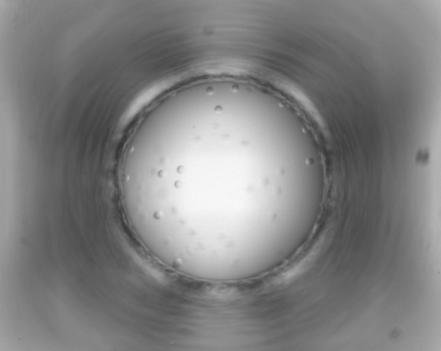 X0000092040978200709121002