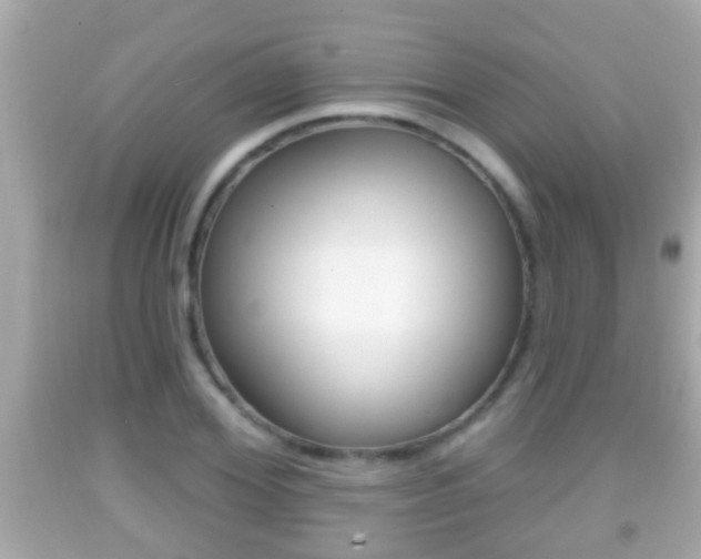 X0000092040980200709121002