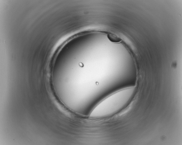 X0000092040981200709121002
