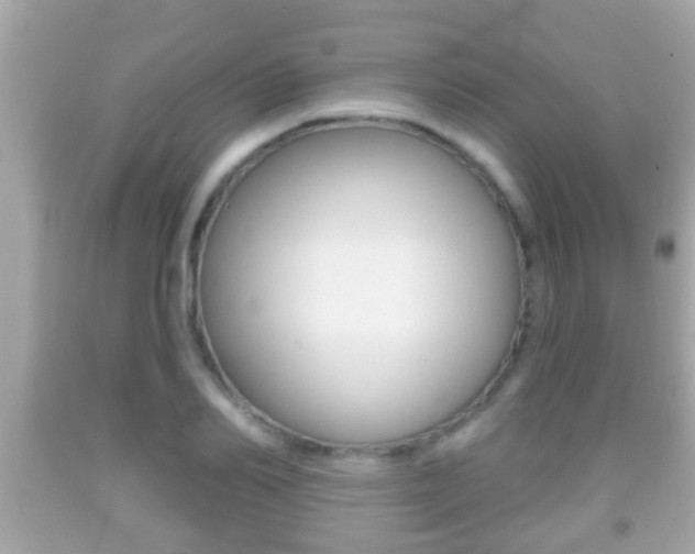 X0000092040982200709121002