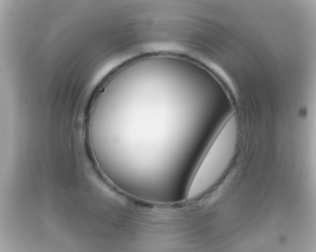 X0000092040983200709121002
