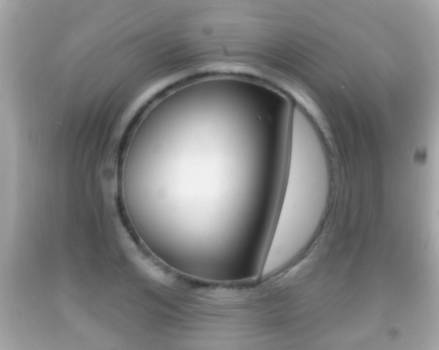 X0000092040984200709121002