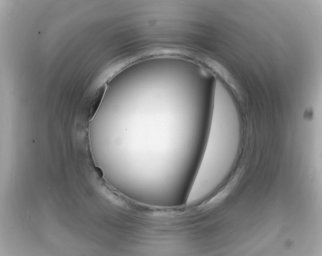 X0000092040985200709121002