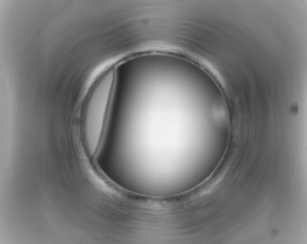 X0000092040987200709121002