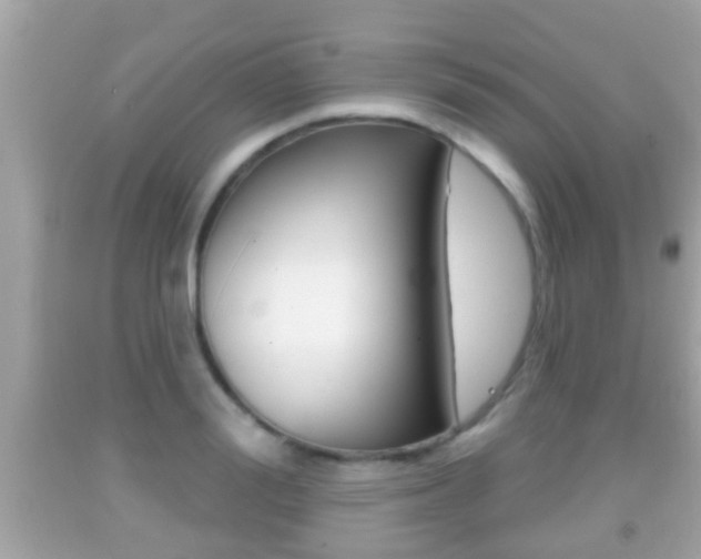 X0000092040988200709121002