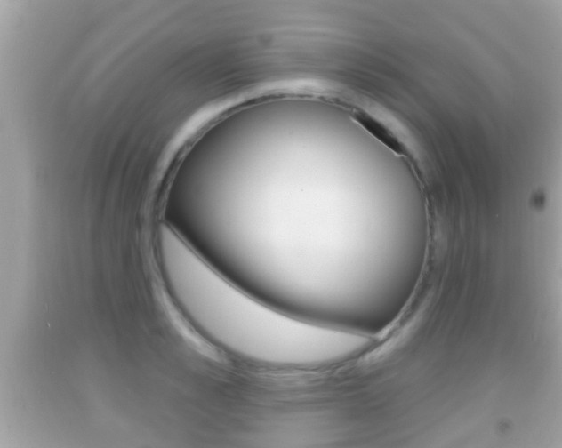 X0000092040989200709121002
