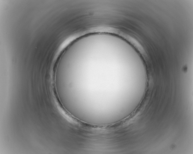 X0000092040990200709121002