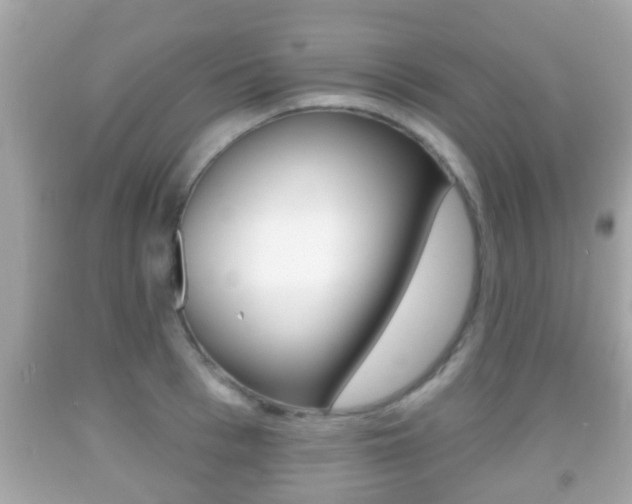 X0000092040993200709121002