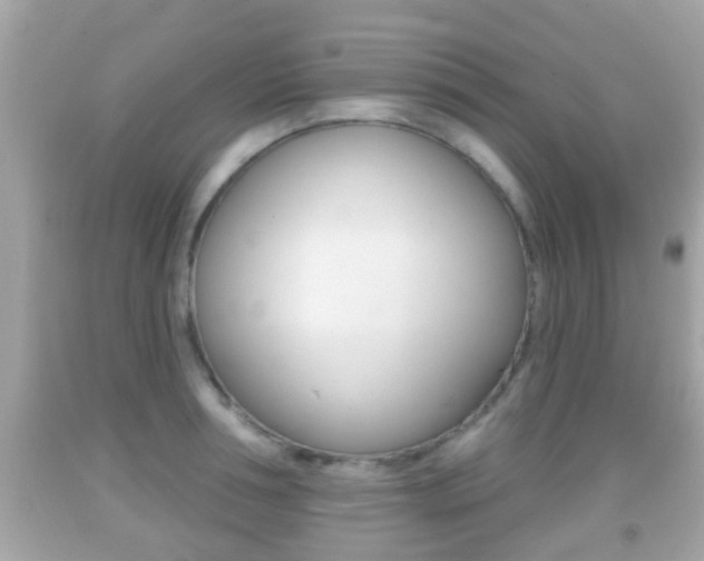 X0000092040994200709121002