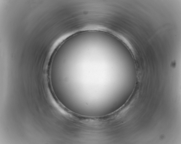 X0000092040995200709121002
