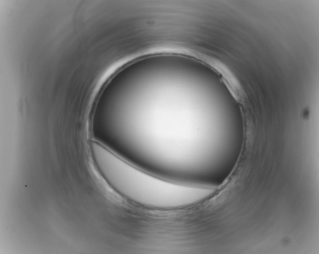 X0000092040996200709121002