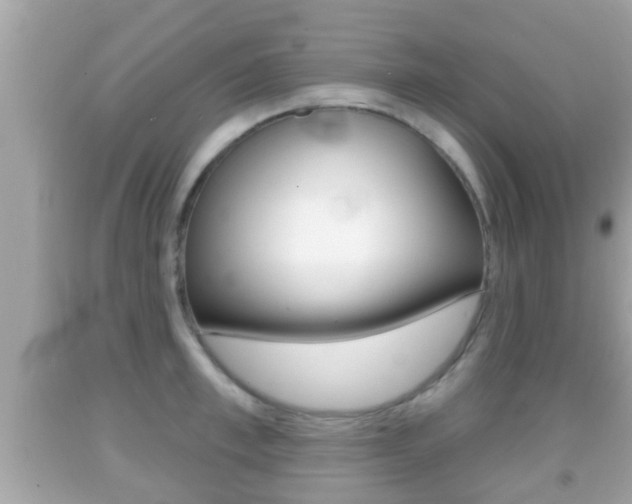 X0000092040997200709121002