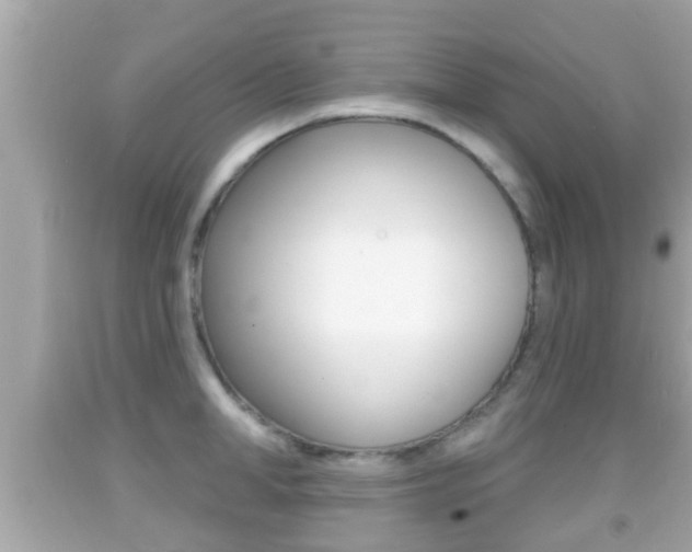 X0000092040998200709121002