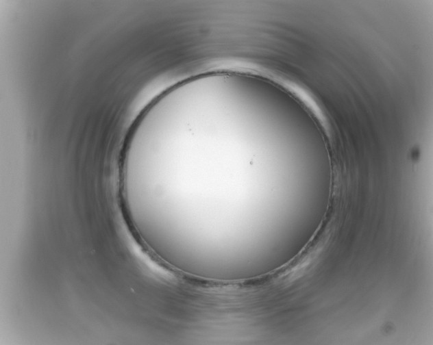 X0000092040999200709121002