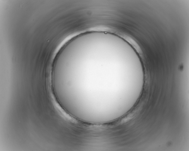 X0000092041000200709121002
