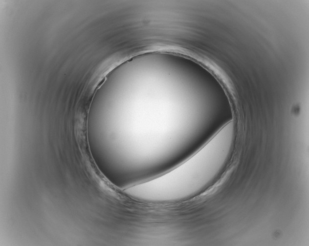 X0000092041001200709121001