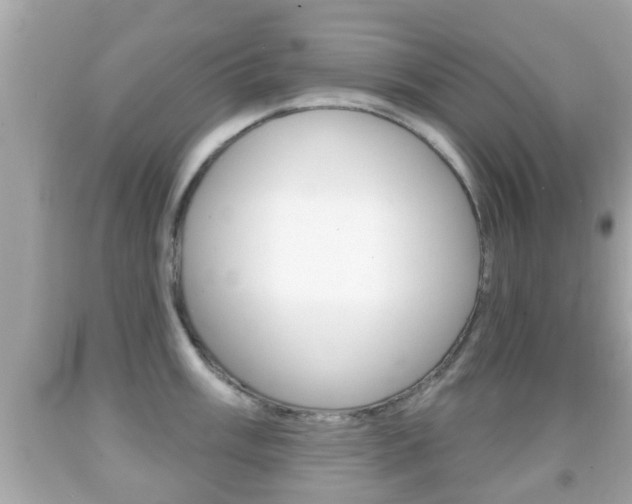 X0000092041003200709121001
